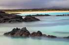 Lava rocks along tranquil shoreline of San Cristobal Island-Galapagos-Ecuador Art Print
